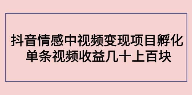 抖音情感中视频变现项目孵化副业工作-副业资源站-副业项目-创业项目-搞钱项目个人副业工作资源分享