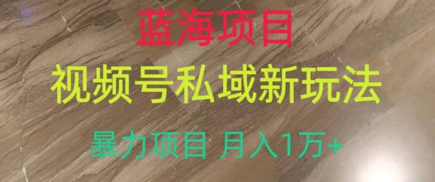 蓝海项目，视频号私域新玩法，暴力项目月入1万+【揭秘】副业工作-副业资源站-副业项目-创业项目-搞钱项目个人副业工作资源分享