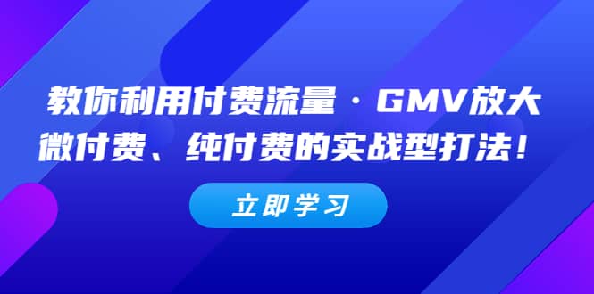 教你利用付费流量·GMV放大，微付费、纯付费的实战型打法副业工作-副业资源站-副业项目-创业项目-搞钱项目个人副业工作资源分享