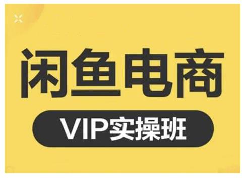 闲鱼电商零基础入门到进阶VIP实战课程，帮助你掌握闲鱼电商所需的各项技能副业工作-副业资源站-副业项目-创业项目-搞钱项目个人副业工作资源分享