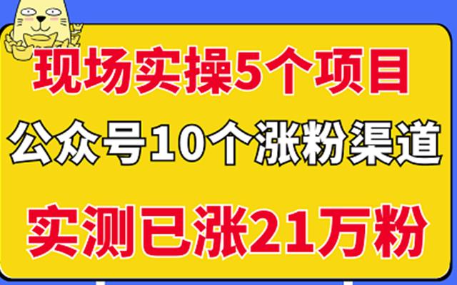 现场实操5个公众号项目，10个涨粉渠道，实测已涨21万粉！副业工作-副业资源站-副业项目-创业项目-搞钱项目个人副业工作资源分享