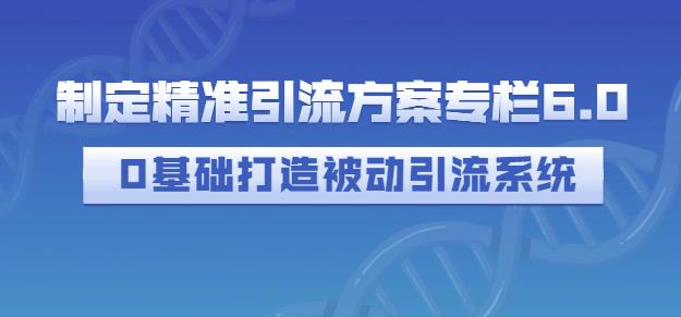 制定精准引流方案专栏6.0，0基础打造被动引流系统副业工作-副业资源站-副业项目-创业项目-搞钱项目个人副业工作资源分享
