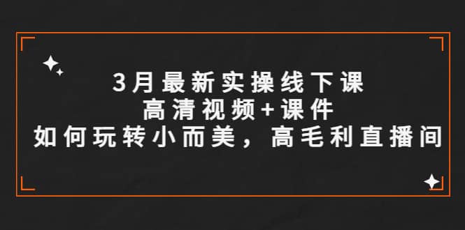 3月最新实操线下课高清视频+课件，如何玩转小而美，高毛利直播间副业工作-副业资源站-副业项目-创业项目-搞钱项目个人副业工作资源分享