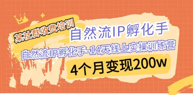 某社群收费培训：自然流IP 孵化手-14天线上实操训练营 4个月变现200w副业工作-副业资源站-副业项目-创业项目-搞钱项目个人副业工作资源分享