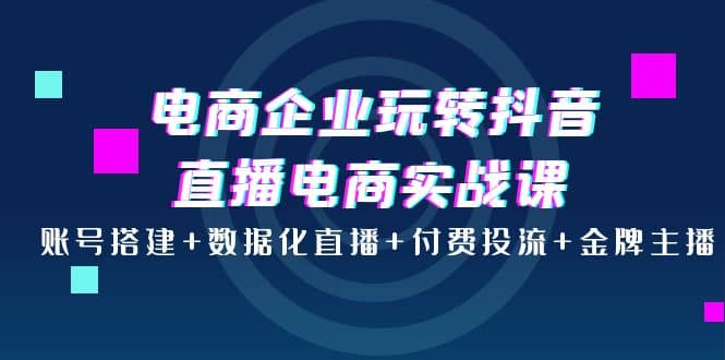 电商企业玩转抖音直播电商实战课：账号搭建+数据化直播+付费投流+金牌主播副业工作-副业资源站-副业项目-创业项目-搞钱项目个人副业工作资源分享