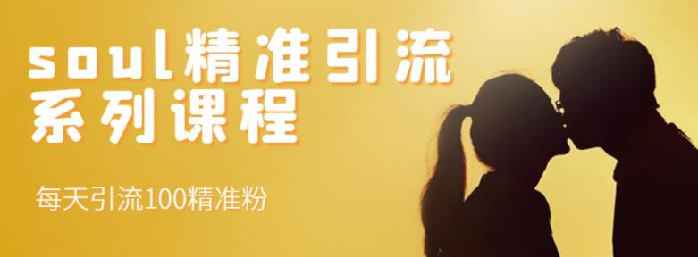 soul精准引流系列课程，每天引流100精准粉副业工作-副业资源站-副业项目-创业项目-搞钱项目个人副业工作资源分享