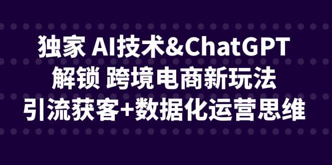 独家 AI技术ChatGPT解锁 跨境电商新玩法，引流获客+数据化运营思维副业工作-副业资源站-副业项目-创业项目-搞钱项目个人副业工作资源分享