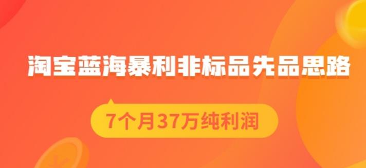 盗坤淘宝蓝海暴利非标品先品思路，7个月37万纯利润，压箱干货分享！【付费文章】副业工作-副业资源站-副业项目-创业项目-搞钱项目个人副业工作资源分享