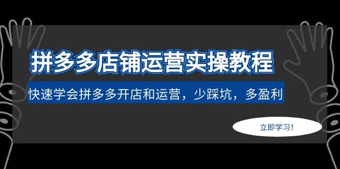 拼多多店铺运营实操教程：快速学会拼多多开店和运营，少踩坑，多盈利副业工作-副业资源站-副业项目-创业项目-搞钱项目个人副业工作资源分享