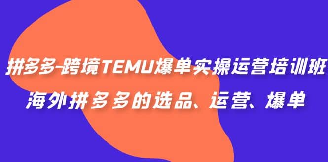 拼多多-跨境TEMU爆单实操运营培训班，海外拼多多的选品、运营、爆单副业工作-副业资源站-副业项目-创业项目-搞钱项目个人副业工作资源分享