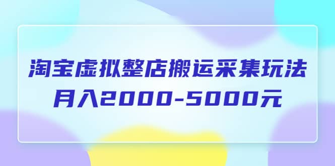 淘宝虚拟整店搬运采集玩法分享课：月入2000-5000元（5节课）副业工作-副业资源站-副业项目-创业项目-搞钱项目个人副业工作资源分享