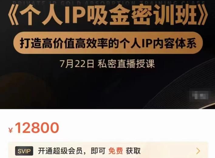 个人IP吸金密训班，打造高价值高效率的个人IP内容体系（价值12800元）副业工作-副业资源站-副业项目-创业项目-搞钱项目个人副业工作资源分享