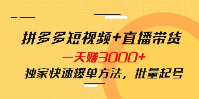 拼多多短视频+直播带货，一天赚3000+独家快速爆单方法，批量起号副业工作-副业资源站-副业项目-创业项目-搞钱项目个人副业工作资源分享