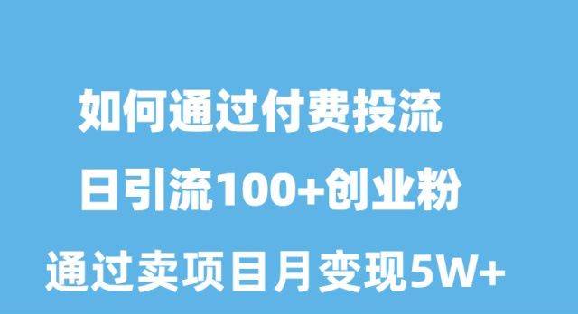 如何通过付费投流日引流100+创业粉月变现5W+副业工作-副业资源站-副业项目-创业项目-搞钱项目个人副业工作资源分享