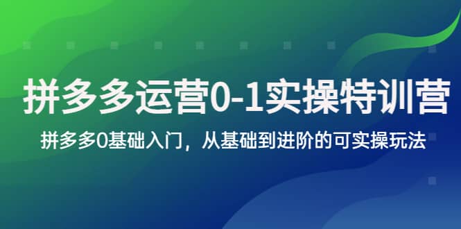 拼多多-运营0-1实操训练营，拼多多0基础入门，从基础到进阶的可实操玩法副业工作-副业资源站-副业项目-创业项目-搞钱项目个人副业工作资源分享