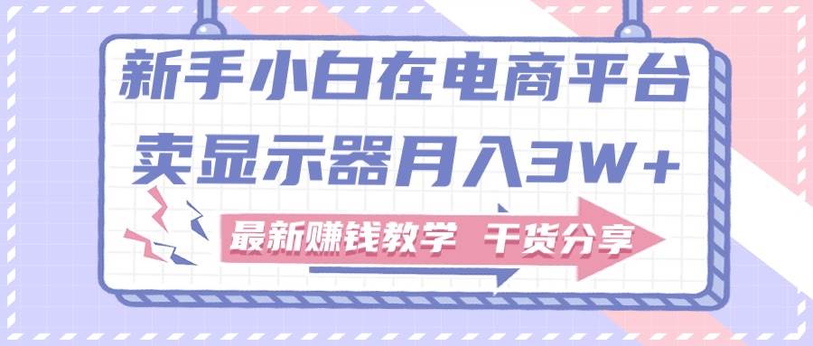 新手小白如何做到在电商平台卖显示器月入3W+，最新赚钱教学干货分享副业工作-副业资源站-副业项目-创业项目-搞钱项目个人副业工作资源分享