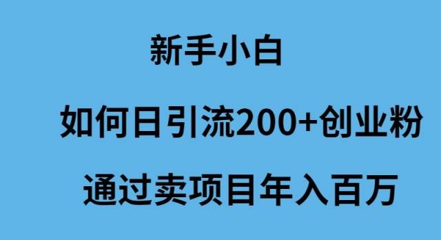 新手小白如何日引流200+创业粉通过卖项目年入百万副业工作-副业资源站-副业项目-创业项目-搞钱项目个人副业工作资源分享