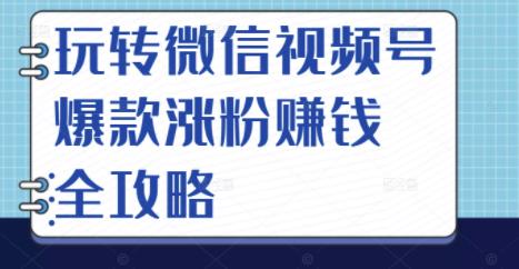 玩转微信视频号爆款涨粉赚钱全攻略，让你快速抓住流量风口，收获红利财富副业工作-副业资源站-副业项目-创业项目-搞钱项目个人副业工作资源分享