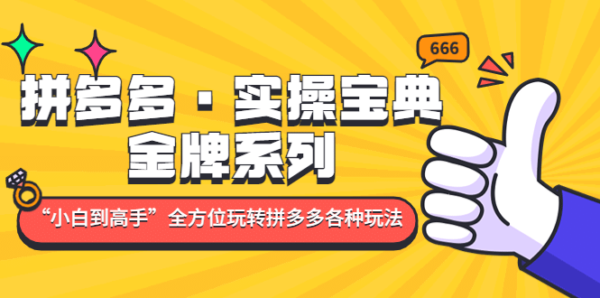 拼多多·实操宝典：金牌系列“小白到高手”带你全方位玩转拼多多各种玩法副业工作-副业资源站-副业项目-创业项目-搞钱项目个人副业工作资源分享