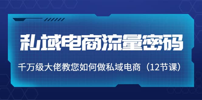 私域电商流量密码：千万级大佬教您如何做私域电商（12节课）副业工作-副业资源站-副业项目-创业项目-搞钱项目个人副业工作资源分享