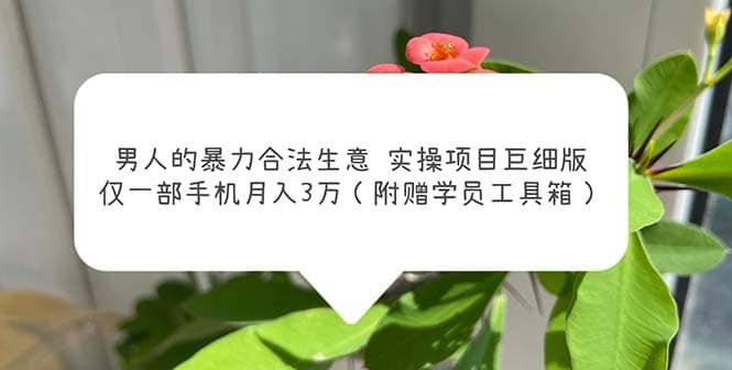 男人的暴力合法生意实操项目巨细版：仅一部手机月入3w（附赠学员工具箱）副业工作-副业资源站-副业项目-创业项目-搞钱项目个人副业工作资源分享