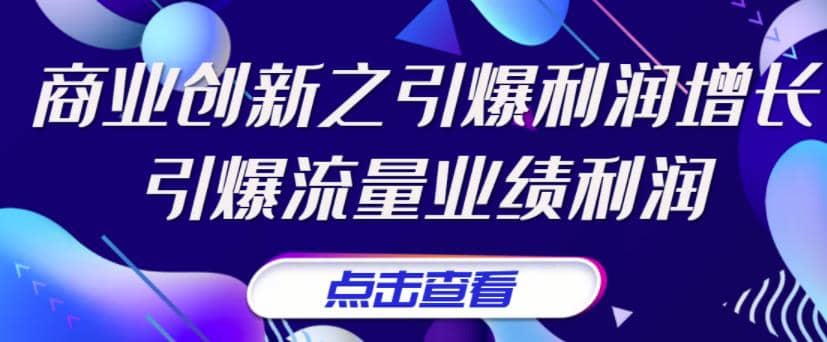 《商业创新之引爆利润增长》引爆流量业绩利润副业工作-副业资源站-副业项目-创业项目-搞钱项目个人副业工作资源分享