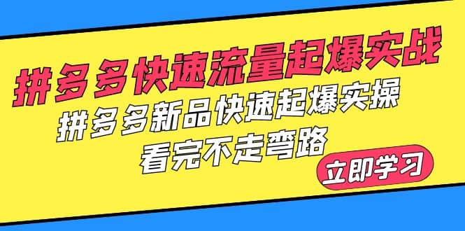 拼多多-快速流量起爆实战，拼多多新品快速起爆实操，看完不走弯路副业工作-副业资源站-副业项目-创业项目-搞钱项目个人副业工作资源分享