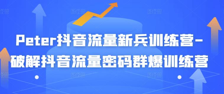 Peter抖音流量新兵训练营-破解抖音流量密码群爆训练营（新兵）副业工作-副业资源站-副业项目-创业项目-搞钱项目个人副业工作资源分享