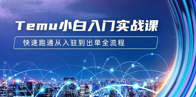 Temu小白入门实战课：跨境拼多多电商培训 快速跑通从入驻到出单全流程-12节副业工作-副业资源站-副业项目-创业项目-搞钱项目个人副业工作资源分享
