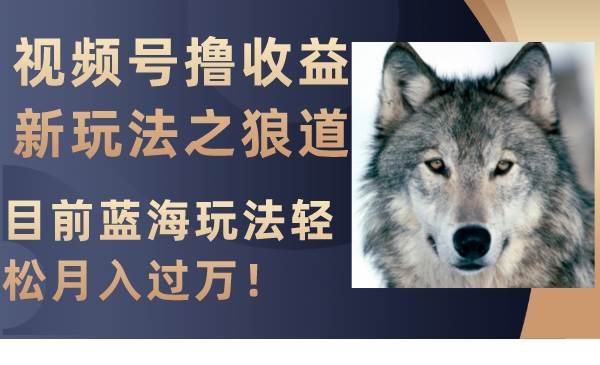 视频号撸收益新玩法之狼道，目前蓝海玩法轻松月入过万！副业工作-副业资源站-副业项目-创业项目-搞钱项目个人副业工作资源分享