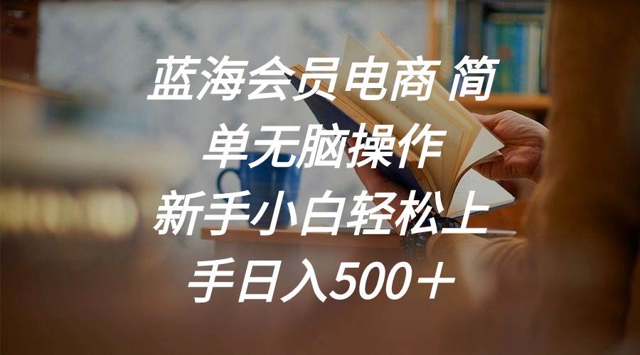 蓝海会员电商 简单无脑操作 新手小白轻松上手日入500＋副业工作-副业资源站-副业项目-创业项目-搞钱项目个人副业工作资源分享