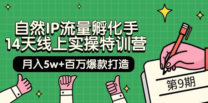 自然IP流量孵化手 14天线上实操特训营【第9期】月入5w+百万爆款打造 (74节)副业工作-副业资源站-副业项目-创业项目-搞钱项目个人副业工作资源分享