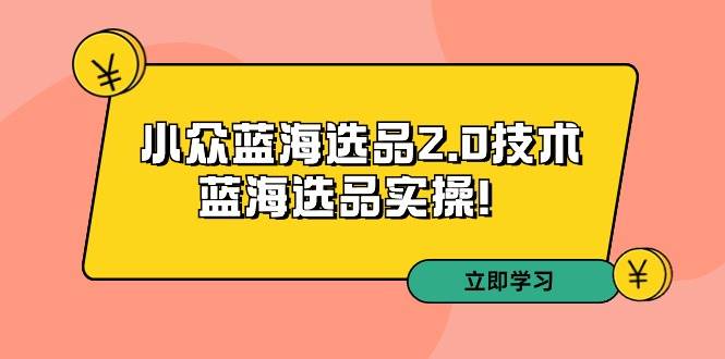 拼多多培训第33期：小众蓝海选品2.0技术-蓝海选品实操！副业工作-副业资源站-副业项目-创业项目-搞钱项目个人副业工作资源分享