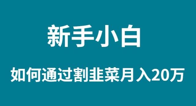 新手小白如何通过割韭菜月入 20W副业工作-副业资源站-副业项目-创业项目-搞钱项目个人副业工作资源分享