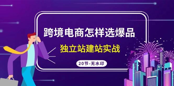跨境电商怎样选爆品，独立站建站实战（20节高清无水印课）副业工作-副业资源站-副业项目-创业项目-搞钱项目个人副业工作资源分享