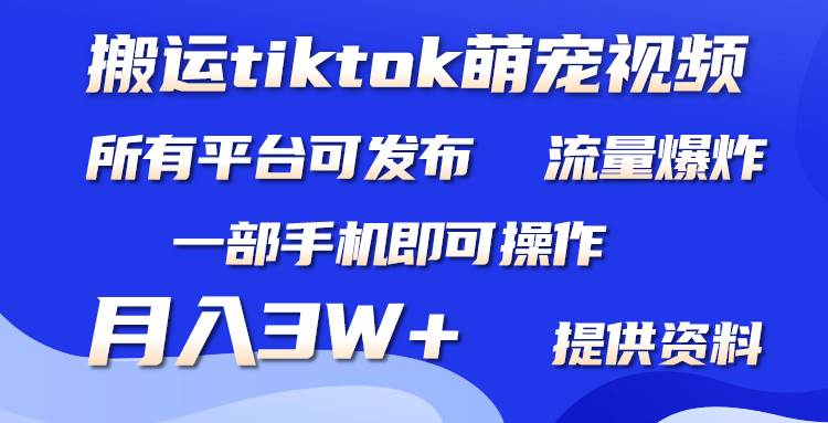 搬运Tiktok萌宠类视频，一部手机即可。所有短视频平台均可操作，月入3W+副业工作-副业资源站-副业项目-创业项目-搞钱项目个人副业工作资源分享