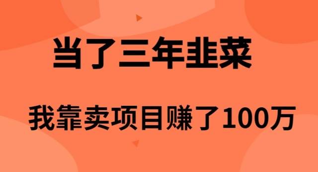 当了3年韭菜，我靠卖项目赚了100万副业工作-副业资源站-副业项目-创业项目-搞钱项目个人副业工作资源分享