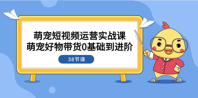 萌宠·短视频运营实战课：萌宠好物带货0基础到进阶（38节课）副业工作-副业资源站-副业项目-创业项目-搞钱项目个人副业工作资源分享