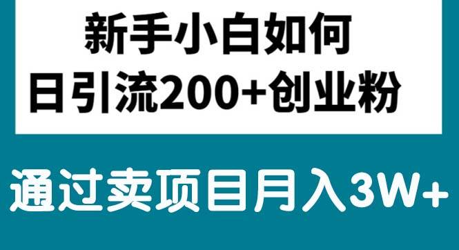 新手小白日引流200+创业粉,通过卖项目月入3W+副业工作-副业资源站-副业项目-创业项目-搞钱项目个人副业工作资源分享