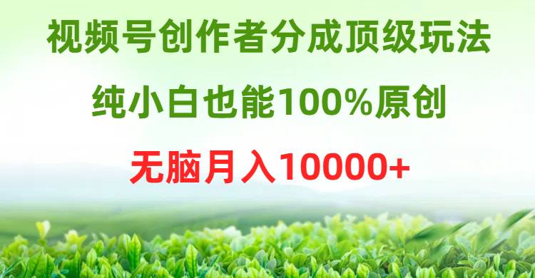 视频号创作者分成顶级玩法，纯小白也能100%原创，无脑月入10000+副业工作-副业资源站-副业项目-创业项目-搞钱项目个人副业工作资源分享