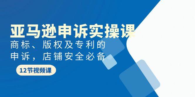 亚马逊-申诉实战课，商标、版权及专利的申诉，店铺安全必备副业工作-副业资源站-副业项目-创业项目-搞钱项目个人副业工作资源分享
