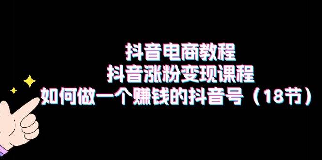 抖音电商教程：抖音涨粉变现课程：如何做一个赚钱的抖音号（18节）副业工作-副业资源站-副业项目-创业项目-搞钱项目个人副业工作资源分享