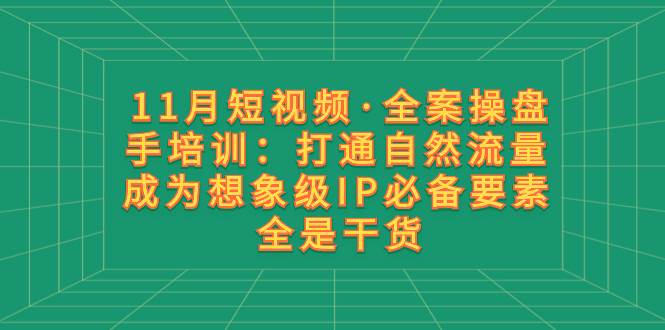 11月短视频·全案操盘手培训：打通自然流量 成为想象级IP必备要素 全是干货副业工作-副业资源站-副业项目-创业项目-搞钱项目个人副业工作资源分享