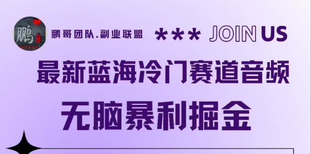 最新蓝海冷门赛道音频，无脑暴利掘金副业工作-副业资源站-副业项目-创业项目-搞钱项目个人副业工作资源分享