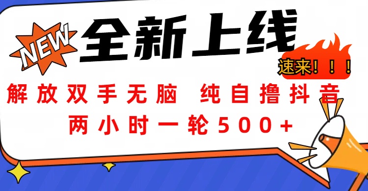 解放双手无脑 纯自撸抖音 两小时一轮500+副业工作-副业资源站-副业项目-创业项目-搞钱项目个人副业工作资源分享