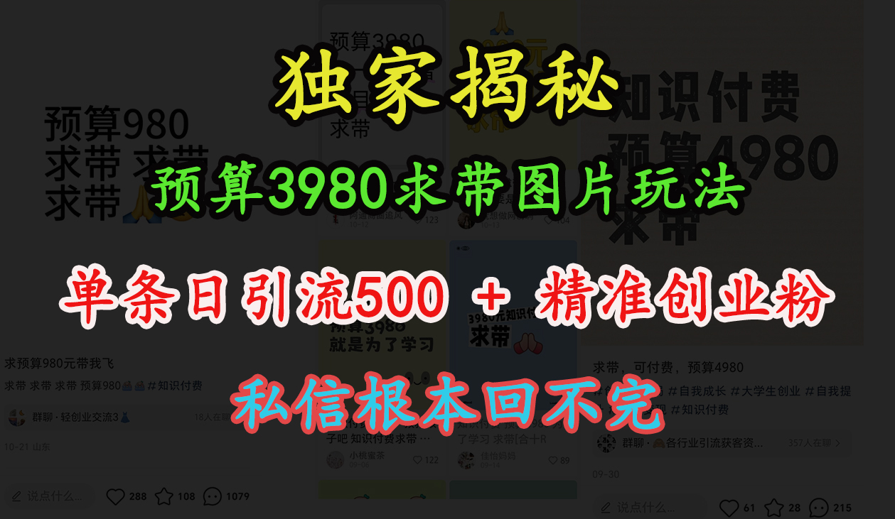“小红书”预算3980求带 图片玩法，单条日引流500+精准创业粉，私信根本回不完副业工作-副业资源站-副业项目-创业项目-搞钱项目个人副业工作资源分享