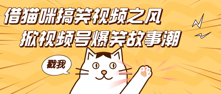 借猫咪搞笑视频之风，掀视频号爆笑故事潮，轻松日赚四位数，开启无门槛赚钱新体验！副业工作-副业资源站-副业项目-创业项目-搞钱项目个人副业工作资源分享