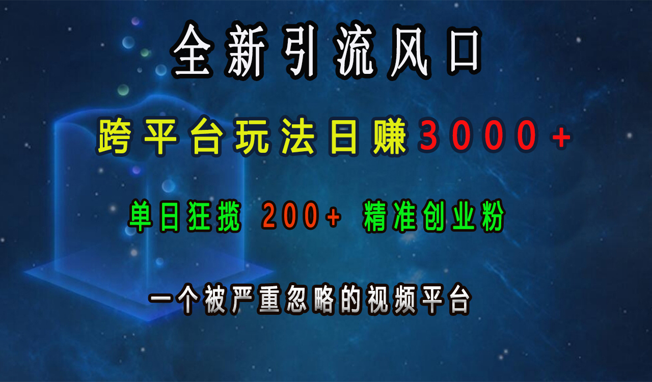 全新引流风口，跨平台玩法日赚3000+，单日狂揽200+精准创业粉，一个被严重忽略的视频平台副业工作-副业资源站-副业项目-创业项目-搞钱项目个人副业工作资源分享