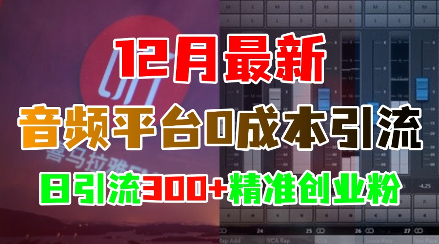 12月最新：音频平台0成本引流，日引300+精准创业粉副业工作-副业资源站-副业项目-创业项目-搞钱项目个人副业工作资源分享