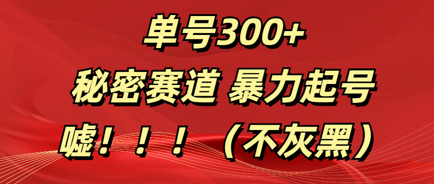 单号300+  秘密赛道 暴力起号  （不灰黑）副业工作-副业资源站-副业项目-创业项目-搞钱项目个人副业工作资源分享